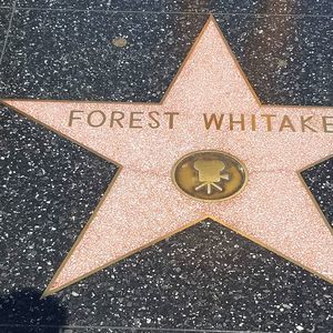 Meet your Posher, Larry